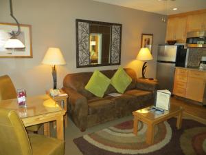 南太浩湖星尘旅馆的客厅配有带绿色枕头的棕色沙发