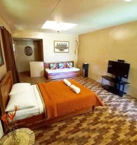 PagbilaoCasa de Cortijo的配有一张床和一台平面电视的酒店客房