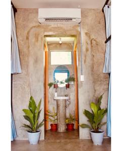 莫阿尔博阿The Hangover Hostel的浴室设有盆栽植物和水槽