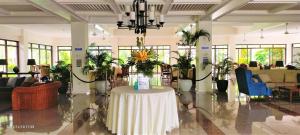卡兰巴Chateau Bleu Resort的大堂设有植物桌子
