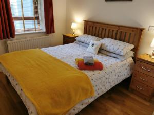恩尼斯基林Erne View Apartments 1C - Lakeside Apartment Enniskillen的一间卧室配有一张带黄色毯子和枕头的床。