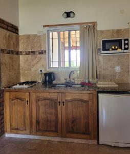 吉亚迪诺镇Llanten Dorado Cabañas的厨房配有水槽和微波炉
