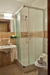 博尼哈德锐厅格酒店的带淋浴、卫生间和盥洗盆的浴室
