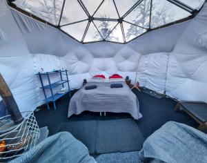 基律纳Aurora Dome的帐篷内的一个床位房间
