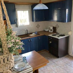 克里皮吉Cookoo Villas的厨房配有蓝色橱柜、桌子和炉灶。