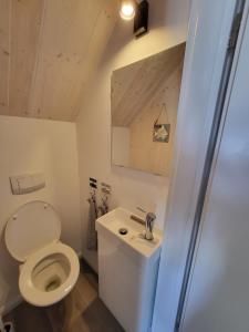 弗瓦迪斯瓦沃沃SERW的一间带卫生间和水槽的小浴室