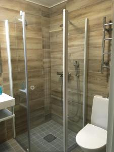 鲁卡Hotel Arctic Zone的带淋浴和卫生间的浴室