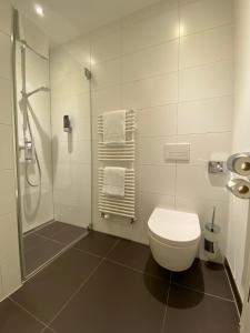 德累斯顿grosszügiges Apartment mit Blick zur Frauenkirche的浴室设有卫生间和带毛巾的淋浴。