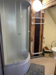 利耶帕亚Kapteinis的带淋浴和卫生间的浴室。