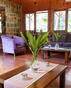 伊瓜苏港塞尔瓦德劳瑞尔酒店的客厅,桌子上摆放着花瓶
