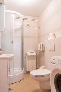 茨雷斯Rooms Ljubica的带淋浴、卫生间和盥洗盆的浴室