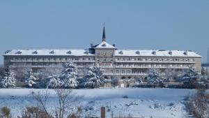 阿维拉米拉多阿维拉旅馆的一座大建筑,屋顶上有鸟儿,下雪