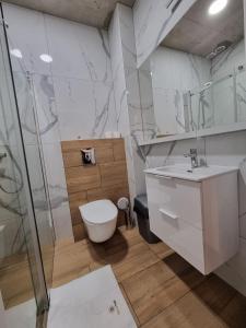 尼彻兹Domki Gold-Time Niechorze的浴室配有卫生间、盥洗盆和淋浴。