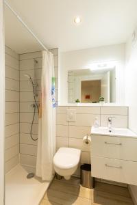 科尔马Les coquelicots, calme, jardin的浴室配有卫生间、盥洗盆和淋浴。