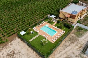 阿尔卡莫Alle Vigne Affittacamere的享有庄园的空中景致,设有游泳池和葡萄园