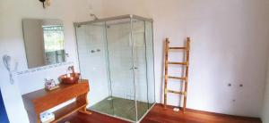 圣安娜-杜斯蒙蒂斯HOTEL FAZENDA PACIENCIA的浴室设有玻璃淋浴间和木台面