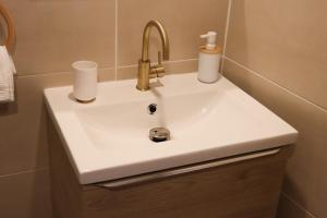 沙勒维尔-梅济耶尔Le Bohème的浴室里的一个白色水槽,上面有两杯