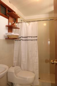 阿亚库乔Astromelia Hotel的一间带卫生间和淋浴帘的浴室