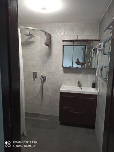斯韦伯诺Zakątek Turysty的带淋浴、盥洗盆和镜子的浴室