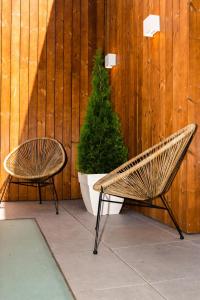 庞特维德拉Hostel Charino的木栅栏旁的两把长椅,有圣诞树