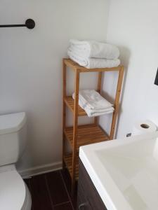 华盛顿Most Economical Room in Center Washington DC的浴室配有盥洗盆、卫生间和毛巾。