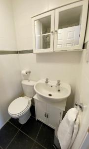 福尔柯克NEW Super 2 Bedroom Flat in Falkirk的白色的浴室设有卫生间和水槽。