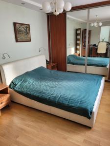 凯尔采Duńska house的一间卧室配有一张床和镜子