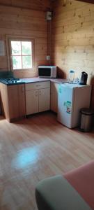赫拉尼采Chata Sport Kemp Areál的小屋内的厨房配有冰箱和微波炉