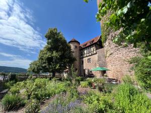 施利茨GRÄFIN MARTHA MARIA - zauberhaftes Apartment in historischer Burg nahe Fulda的一座古老的砖砌建筑,前面有一棵树