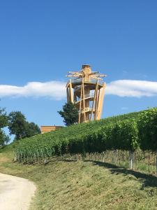 ŠtrigovaHoliday Home Mađerka的山顶上带塔的葡萄园