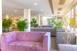 卡门港海德公园巷道酒店的大堂内种有植物的紫色沙发