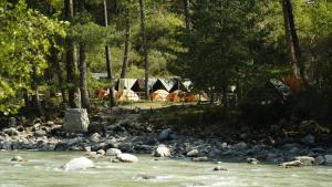 卡索尔Himtrek Riverside Camps, Kasol的一群羊在河里游,有帐篷