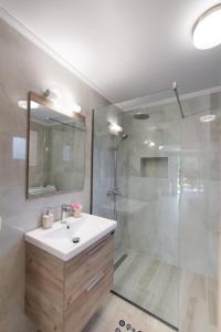 雷夫卡达镇Fragiato Apartment的一间带水槽和淋浴的浴室