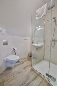 斯派特克维瑟康普克斯贝斯基德酒店的带淋浴、卫生间和盥洗盆的浴室