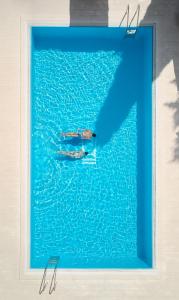 布雷拉米斯特拉尔蓝阳酒店的在大型游泳池游泳的人