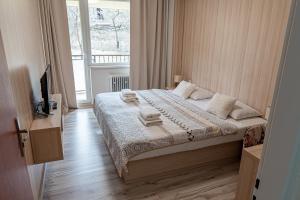 瓦赫河畔比斯特里察Hotel Garni的一间带床的卧室,位于带窗户的房间内