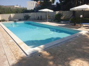 马蒂诺Appartamento Solepineta的庭院里的一个蓝色海水游泳池
