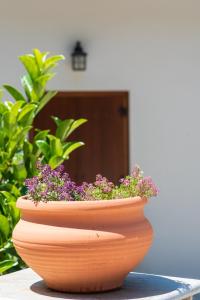 桑加拉达Άλυσσος suites的坐在桌子上的种植园里,花紫色