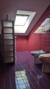 奥托纳Attico Los Andes的浴室配有卫生间、水槽和天窗。