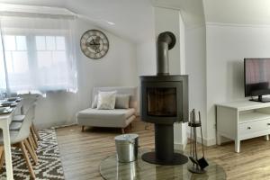 奥斯赛拜-塞林MyHome Ruegen - Haus Sonnenmeer的客厅配有燃木炉灶和沙发。