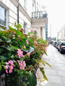 伦敦帕丁顿爱德华酒店的建筑物边的一束粉红色的花