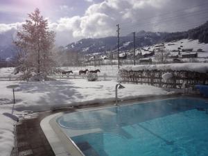 伦克西门霍夫酒店 的一座带游泳池的雪覆盖庭院和马匹