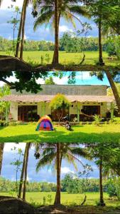 巴图卡拉苏珊民宿的一幅四幅房子和帐篷的照片