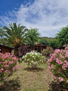 波尔图波罗玛瑞E蒙蒂酒店的花园内种有粉红色和白色的花卉和树木