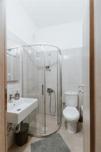 吉诺卡斯特Panoramic Vlachos的带淋浴、卫生间和盥洗盆的浴室