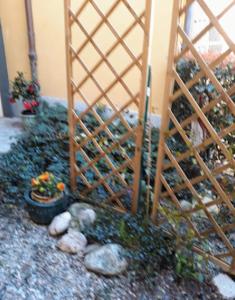 皮内罗洛Guest House Elisabeth的一座带梯子和一些植物及岩石的花园