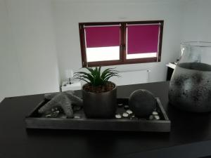 奥斯特罗德Chalet Knut的桌子上装有植物的托盘,有窗