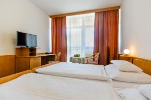 洪波莱茨科季扎酒店的一间酒店客房,设有两张床和电视