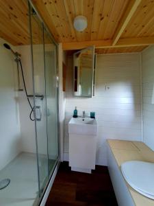 KáptalantótiPOP Tiny House Balaton的一间带玻璃淋浴和水槽的浴室