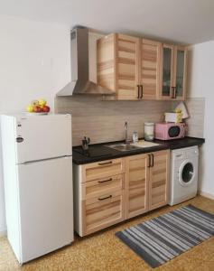 SovramonteTiny House Dolomiti的厨房配有白色冰箱和水槽